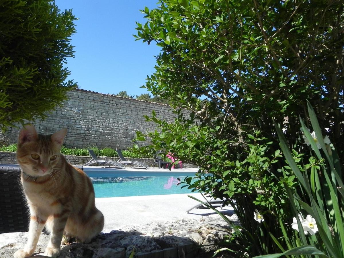 Villa Del Re 10 La Flotte Εξωτερικό φωτογραφία